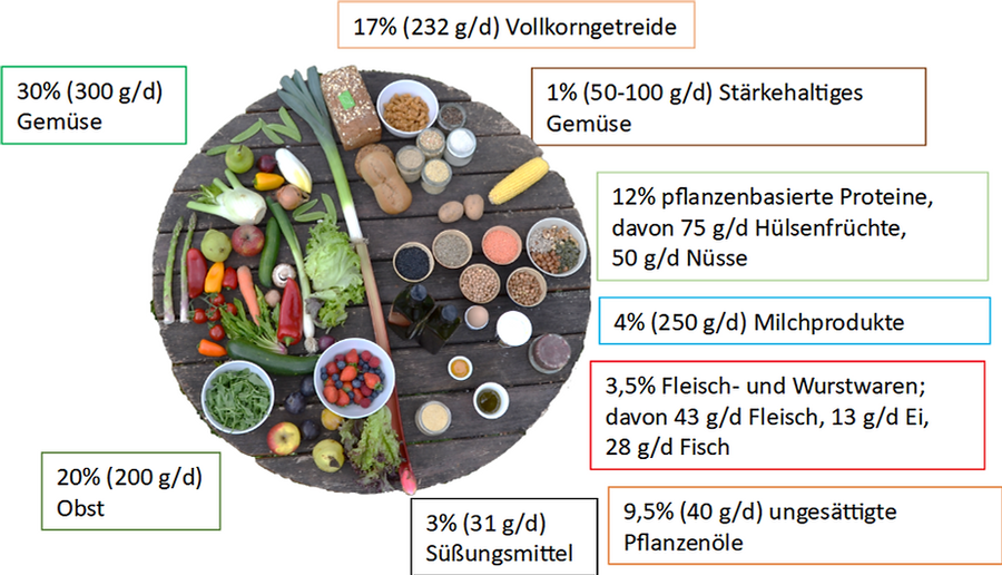 zu sehen ist ein Kreisdiagramm, dass prozentual angiebt, wie eine nachhaltlige Ernährung aussieht, z.B. 30% Gemüse, 20% Obst, 17% Vollkorngetreide oder 12 % pflanzliche Proteine